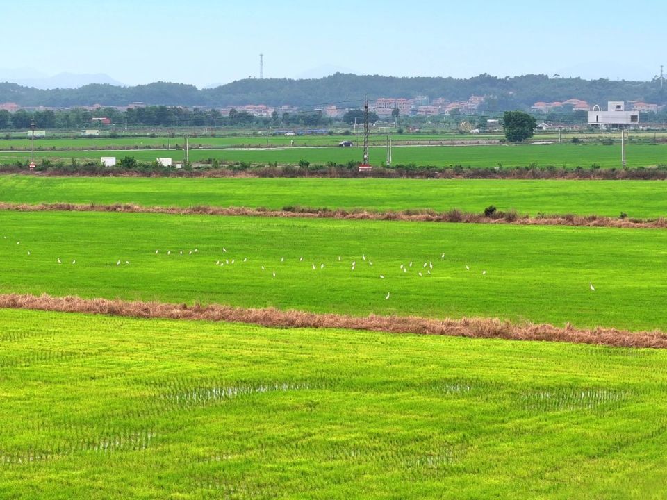 在夕阳余晖, gtimg