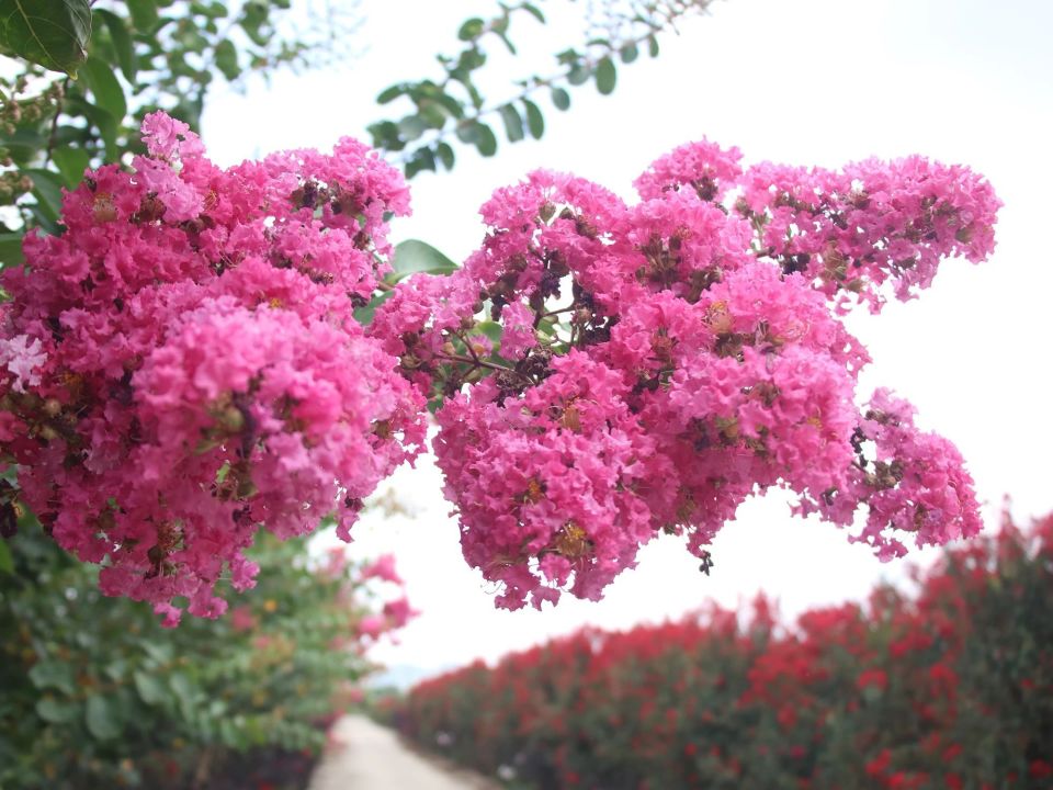 backg, 组近日拍摄, qKqPL